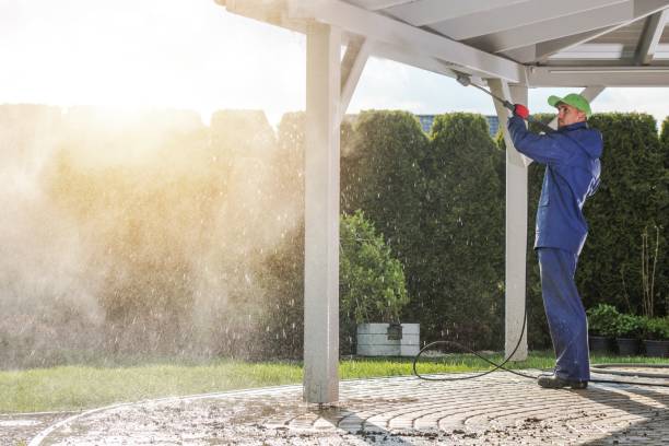 Best Driveway Pressure Washing  in Hominy, OK